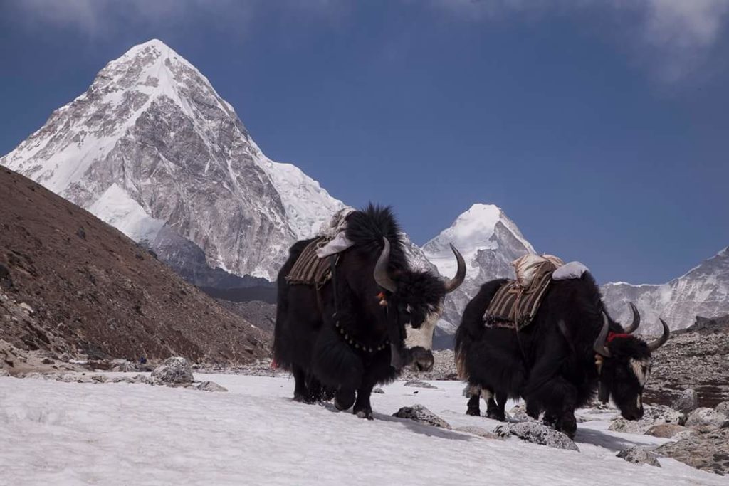 Everest three pass trek