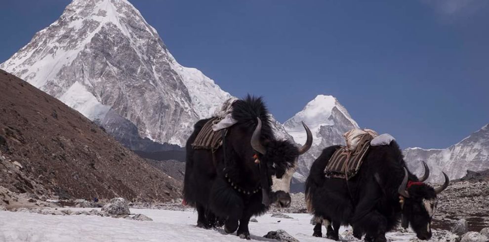 Everest three pass trek