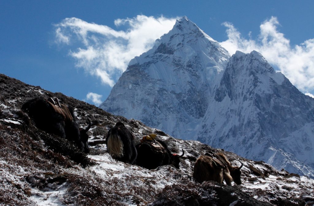 Chola pass trek